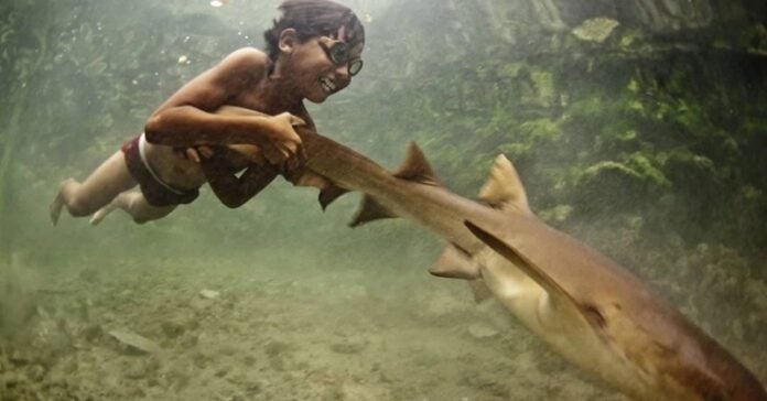 bajau-os-primeiros-humanos-adapt